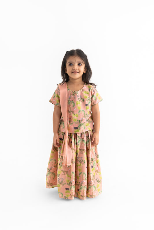 Blush Sunderban Lehenga, Choli And Dupatta Set