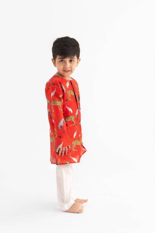 Chidiya ghar ki sair  Red Kurta and Pyjama set