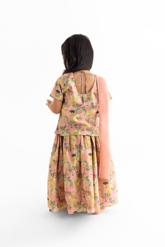 Blush Sunderban Lehenga, Choli And Dupatta Set