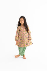 Blush And Mint Sunderban Salwar Kameez Set