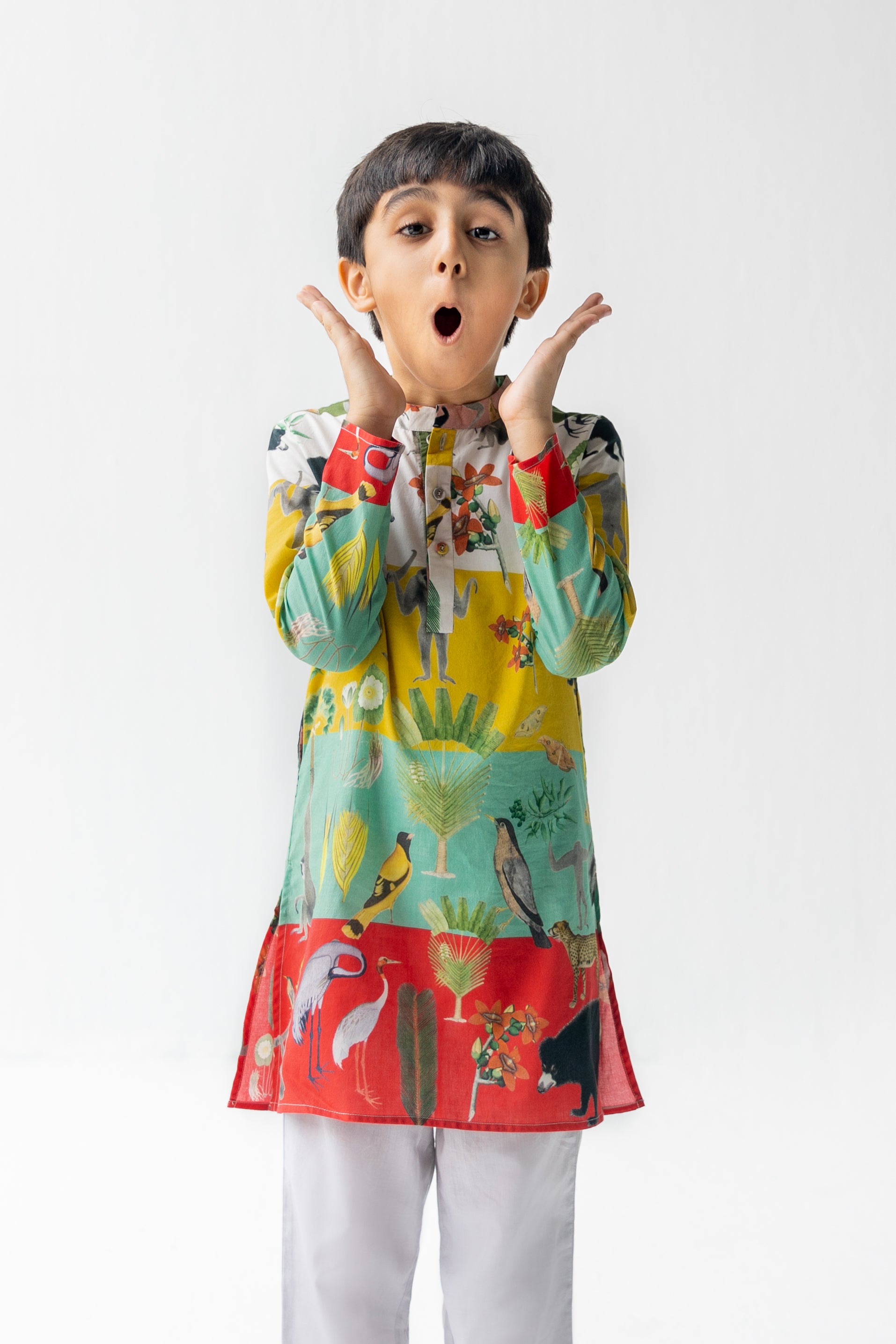 Multicolor Chidiya Ghar Ki Sair Kurta Pyjama Set