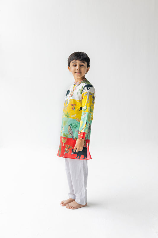 Multicolor Chidiya Ghar Ki Sair Kurta Pyjama Set