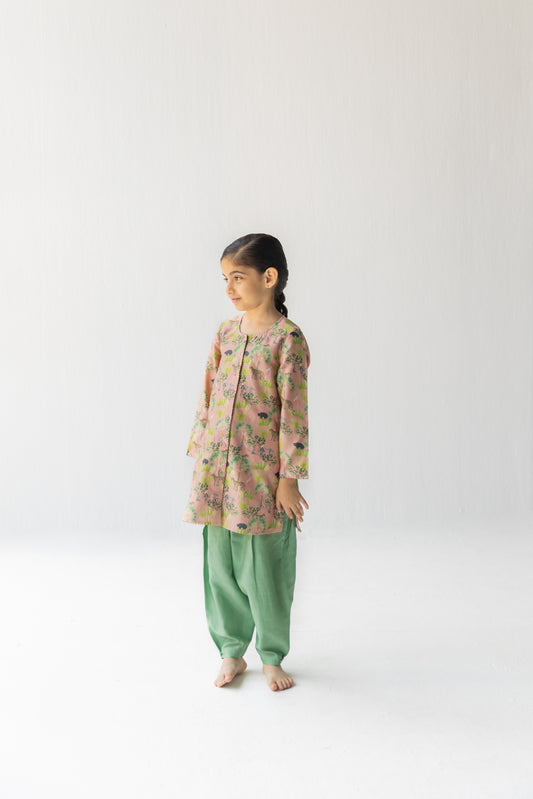 Blush And Mint Sunderban Salwar Kameez Set