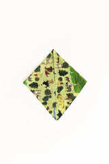 Sage Green Kaziranga National Park Neckerchief
