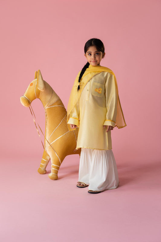 Mewa Modak kurta, sharara and dupatta set