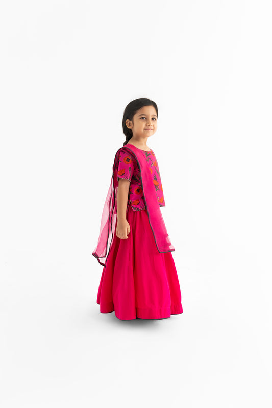 Chidiya Rani Badi Sayani  Fuchsia Lehenga, Choli & Dupatta