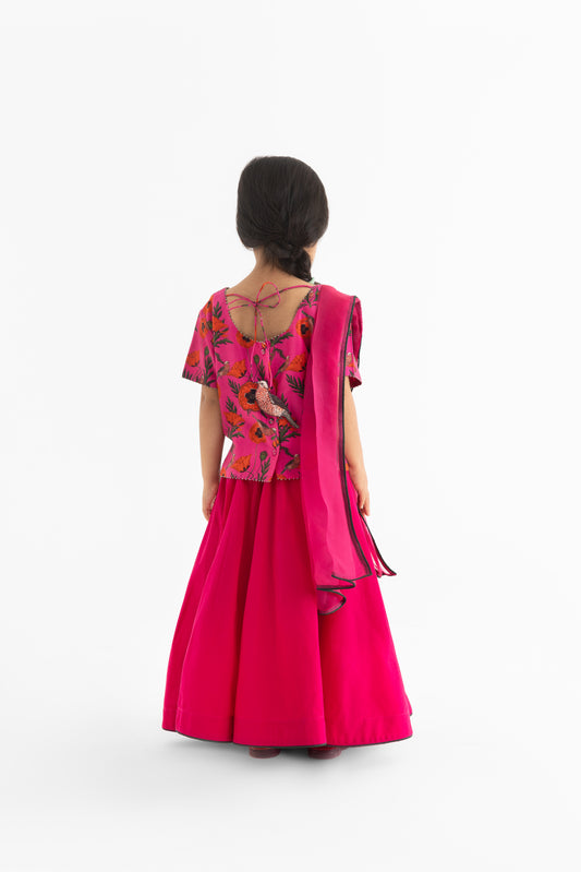 Chidiya Rani Badi Sayani  Fuchsia Lehenga, Choli & Dupatta