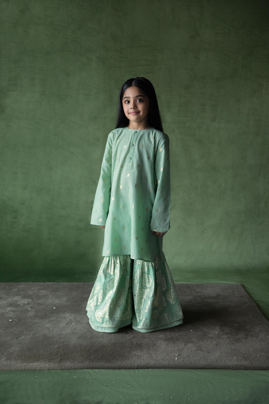 Chandani Mint Kurta, Sharara and Dupatta set